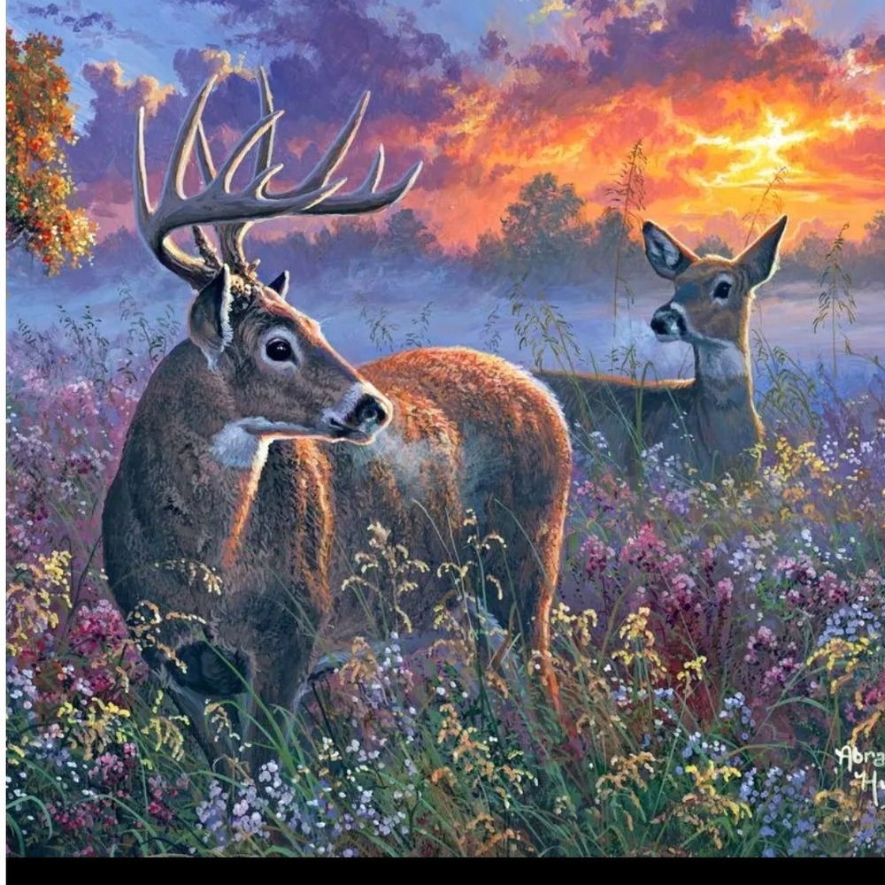 Figured Art Paint by Numbers Kit Deer Sunset Landscape 16x20 Canvas